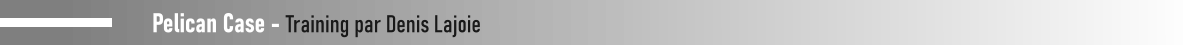 Pelican Case - Training par Denis Lajoie
